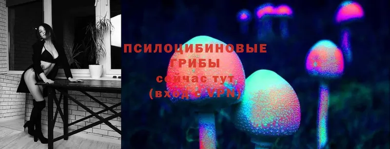 купить   Дагестанские Огни  mega ССЫЛКА  Галлюциногенные грибы Magic Shrooms 